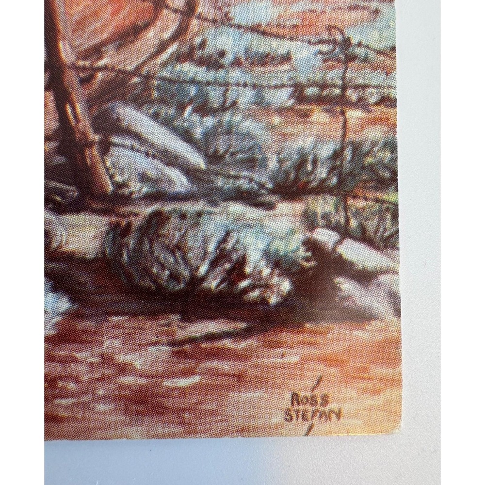 Lot 3 Ross Stefan 1948 Uncirculated Postcards A New Experience Good Scout Attack - Picture 9 of 15